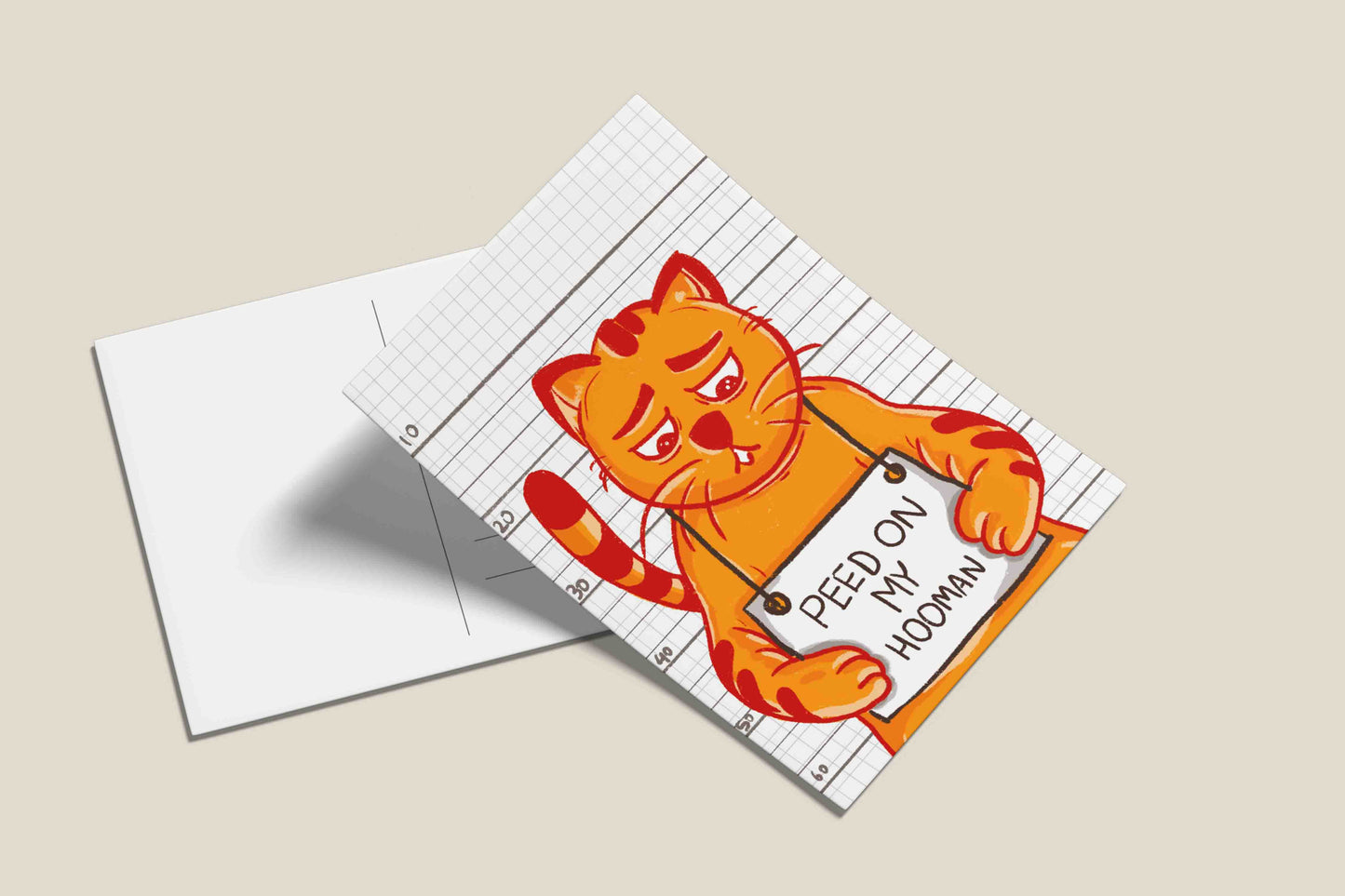 Cats being cats postcards - Blunder