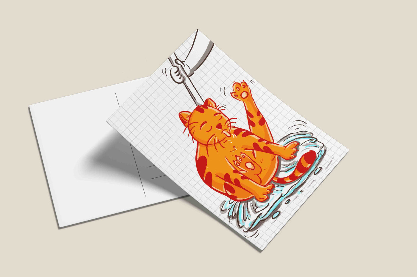 Cats being cats postcards - Sweep