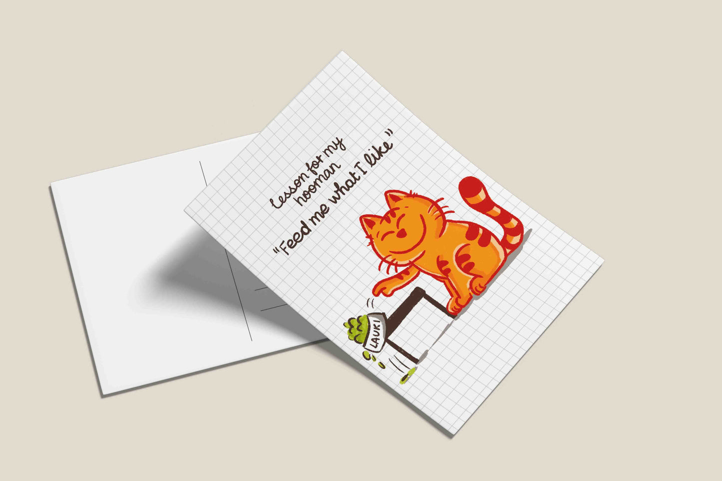 Cats being cats postcards - Lesson