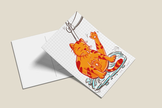 Cats being cats postcards - Sweep